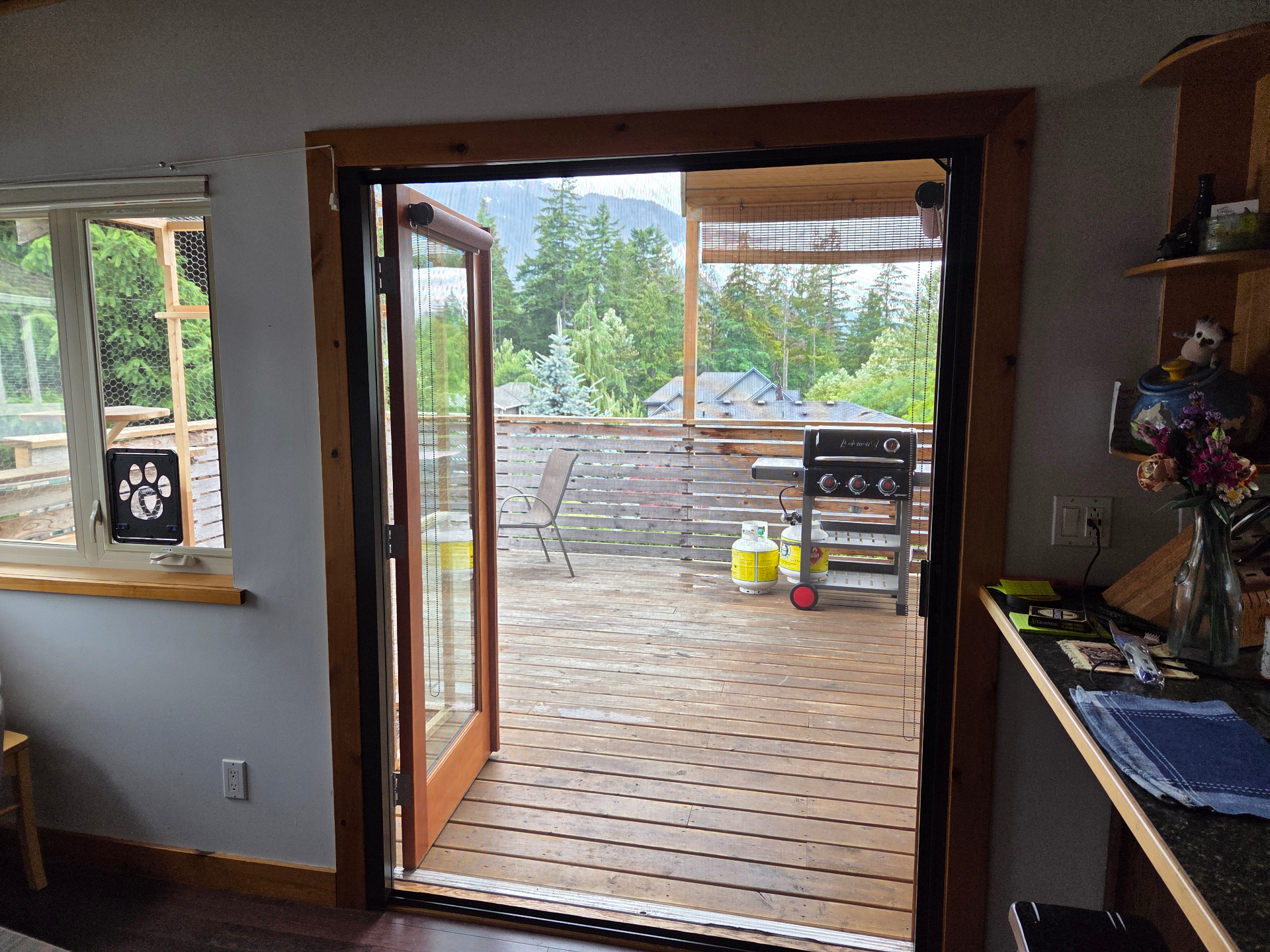 Wide Patio Openings
